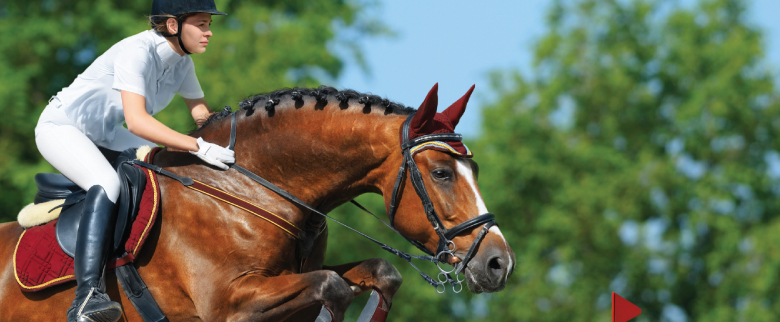 Equestrian Jumping Court